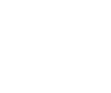 Skol Casino logo